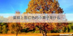 蛋糕上面红色的小果子是什么