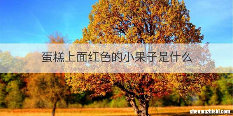 蛋糕上面红色的小果子是什么