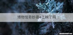 博物馆奇妙夜4上映了吗