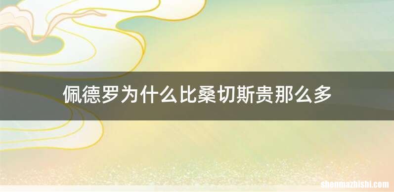 佩德罗为什么比桑切斯贵那么多