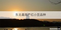 东北最高产红小豆品种