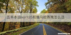 五羊本田ncr125和雅马哈赛鹰怎么选