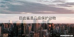 巨齿鲨是几级保护动物