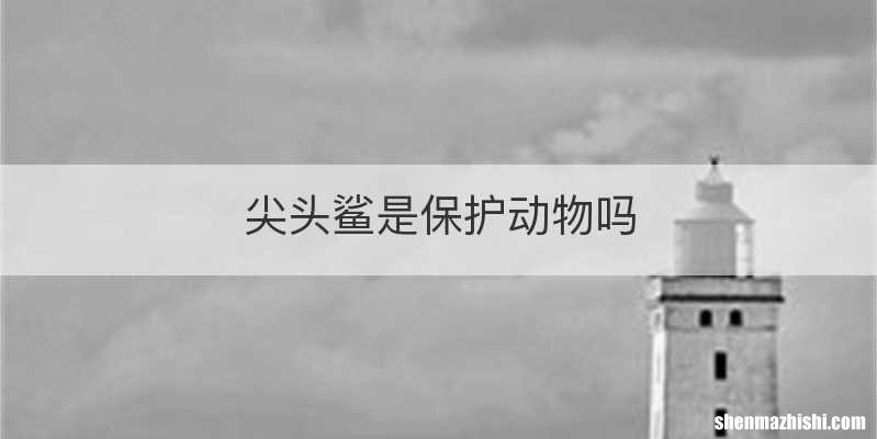 尖头鲨是保护动物吗