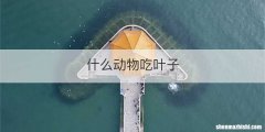 什么动物吃叶子