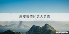 皮皮鲁传的名人名言