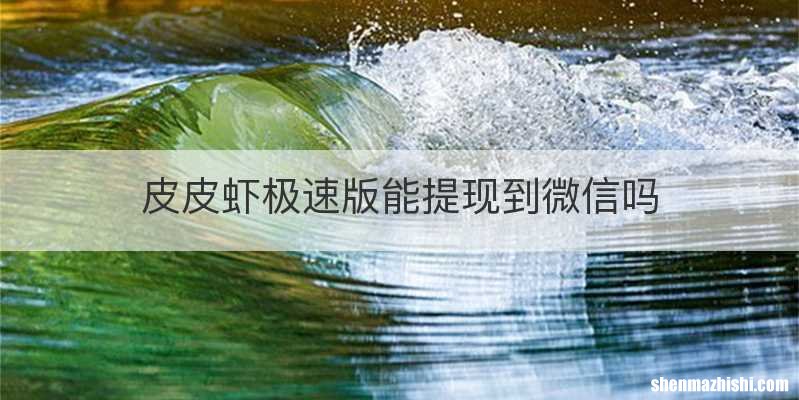 皮皮虾极速版能提现到微信吗