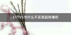 CCTV5为什么不买英超转播权
