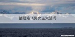 插翅难飞男女主双洁吗