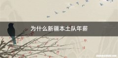 为什么新疆本土队年薪