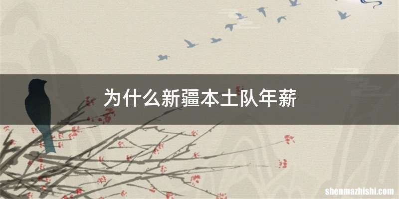 为什么新疆本土队年薪