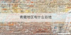 青藏地区有什么谷地