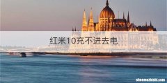 红米10充不进去电