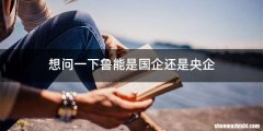 想问一下鲁能是国企还是央企