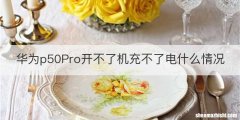 华为p50Pro开不了机充不了电什么情况