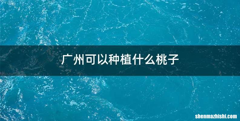 广州可以种植什么桃子