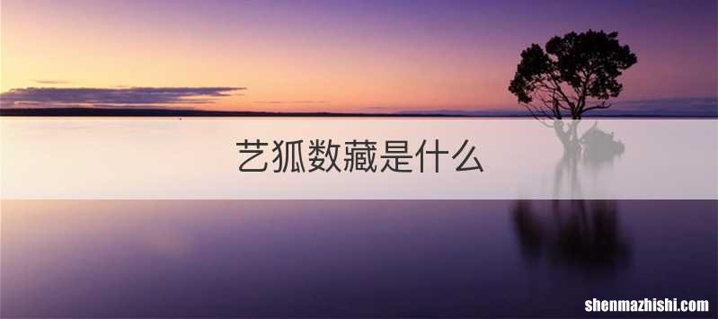 艺狐数藏是什么