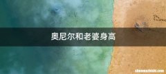 奥尼尔和老婆身高