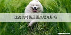 捷德奥特曼是雷奥尼克斯吗