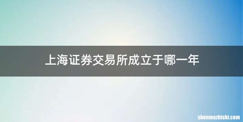 上海证券交易所成立于哪一年