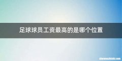 足球球员工资最高的是哪个位置