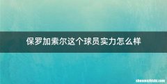 保罗加索尔这个球员实力怎么样