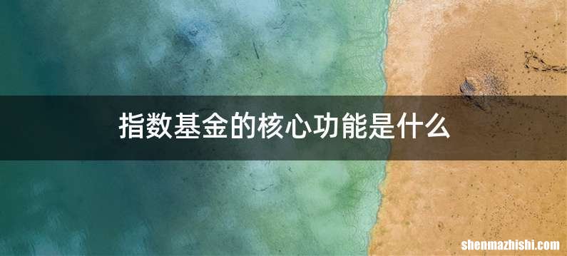 指数基金的核心功能是什么