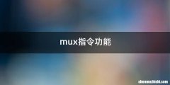mux指令功能