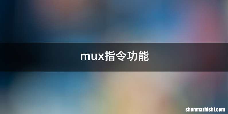 mux指令功能