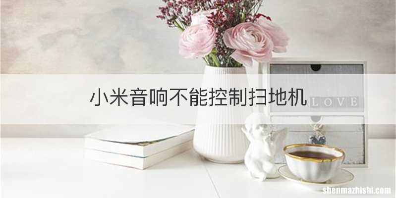 小米音响不能控制扫地机