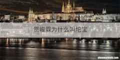 贺峻霖为什么叫坨宝