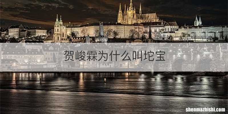 贺峻霖为什么叫坨宝