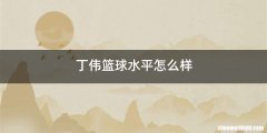 丁伟篮球水平怎么样