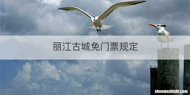 丽江古城免门票规定
