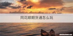 同花顺期货通怎么玩