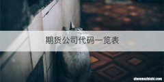 期货公司代码一览表