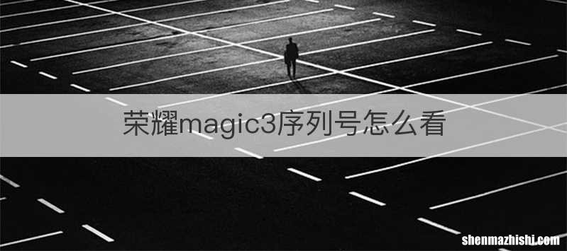 荣耀magic3序列号怎么看
