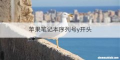 苹果笔记本序列号y开头
