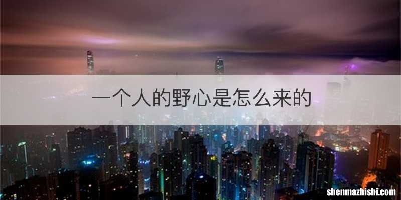一个人的野心是怎么来的