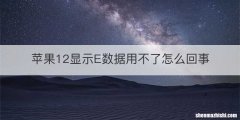 苹果12显示E数据用不了怎么回事