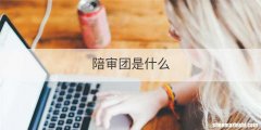 陪审团是什么