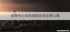 龙珠布尔玛和琪琪合体在第几集