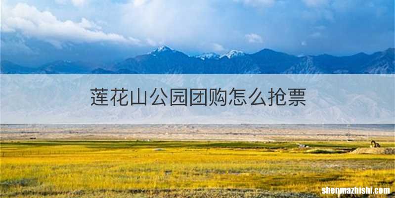 莲花山公园团购怎么抢票