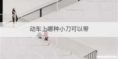 动车上哪种小刀可以带