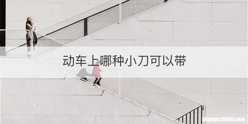 动车上哪种小刀可以带