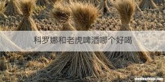 科罗娜和老虎啤酒哪个好喝