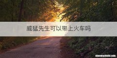 威猛先生可以带上火车吗