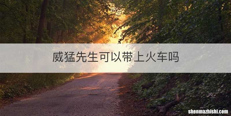威猛先生可以带上火车吗