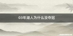 03年湖人为什么没夺冠