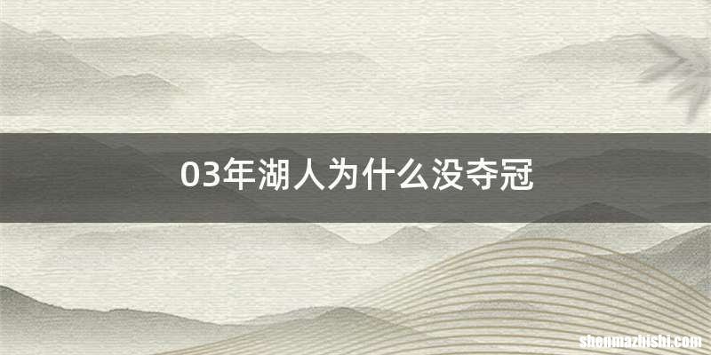 03年湖人为什么没夺冠